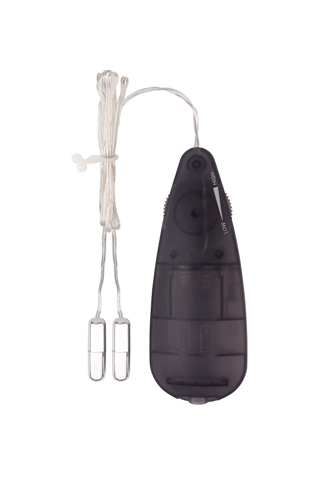 Міні-вібропулі сріблясті CHISA Hi-Basic Mini Twins Bullet з чорним провідним пультом