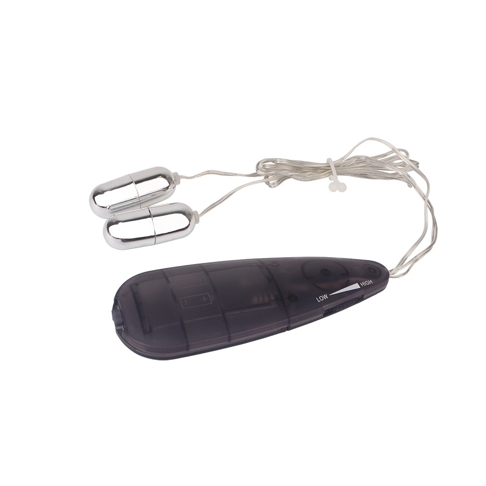 Вибропули серебристые Chisa Hi-Basic Double Play Bullets Vibrator с черным пультом управления