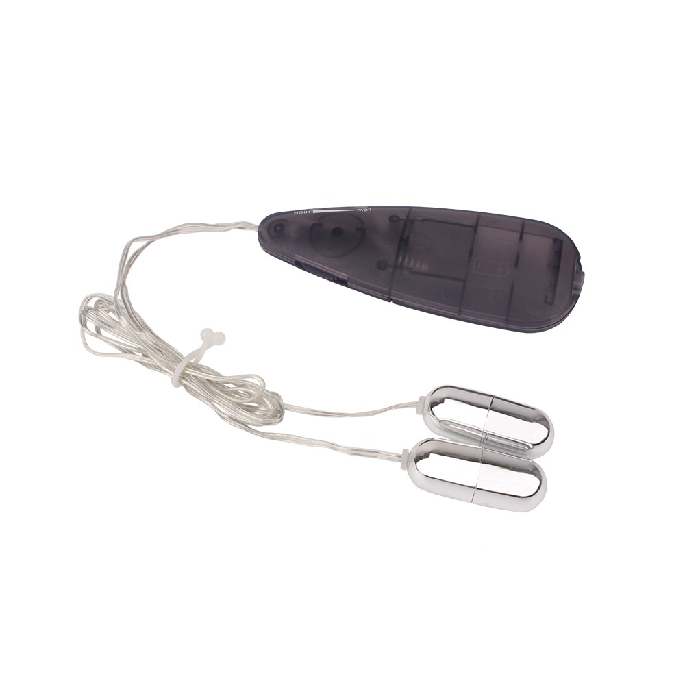 Вибропули серебристые Chisa Hi-Basic Double Play Bullets Vibrator с черным пультом управления
