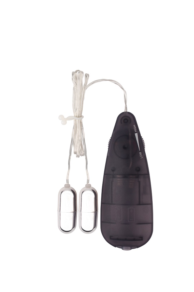 Вибропули серебристые Chisa Hi-Basic Double Play Bullets Vibrator с черным пультом управления