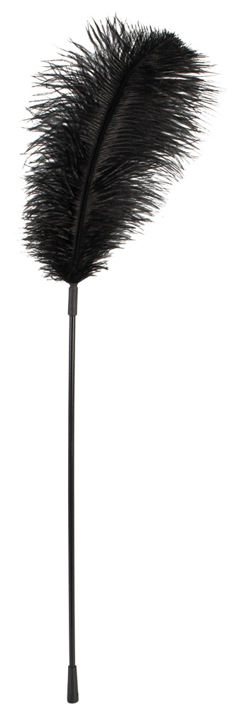 Перо Black feather Bad Kitty