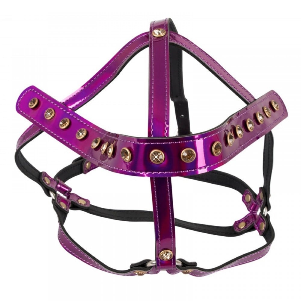 Упряжка для головы Bad Kitty Head Harness