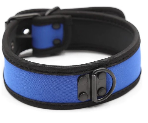 Ошейник з неопрену Collar neoprene blue