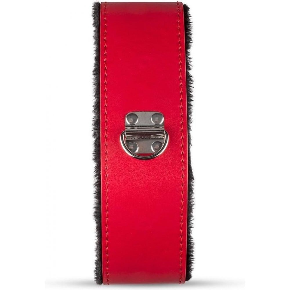 Набір БДСМ Secret Pleasure Chest Red Dragon