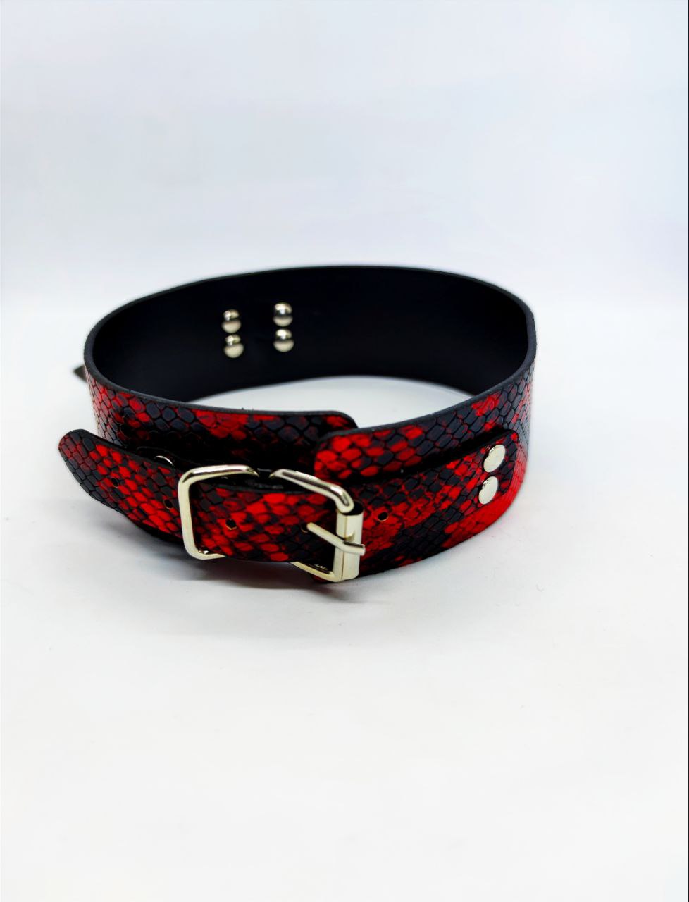 Оейник с поводком Collar black/red with leash