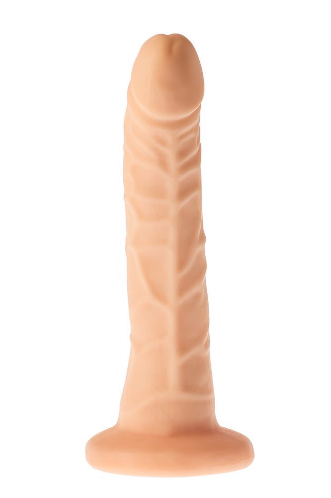 Гнучкий фалоімітатор DREAM TOYS Mr.Dixx на присосці, тілесний