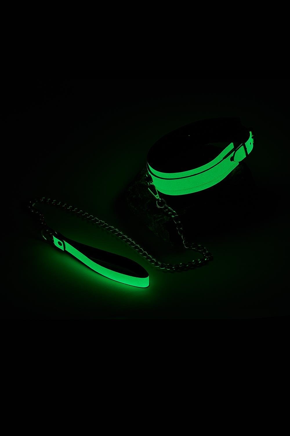 Нашийник з повідцем, що світиться у темряві Dream Toys Radiant Glow In The Dark Collar & Leash зелений
