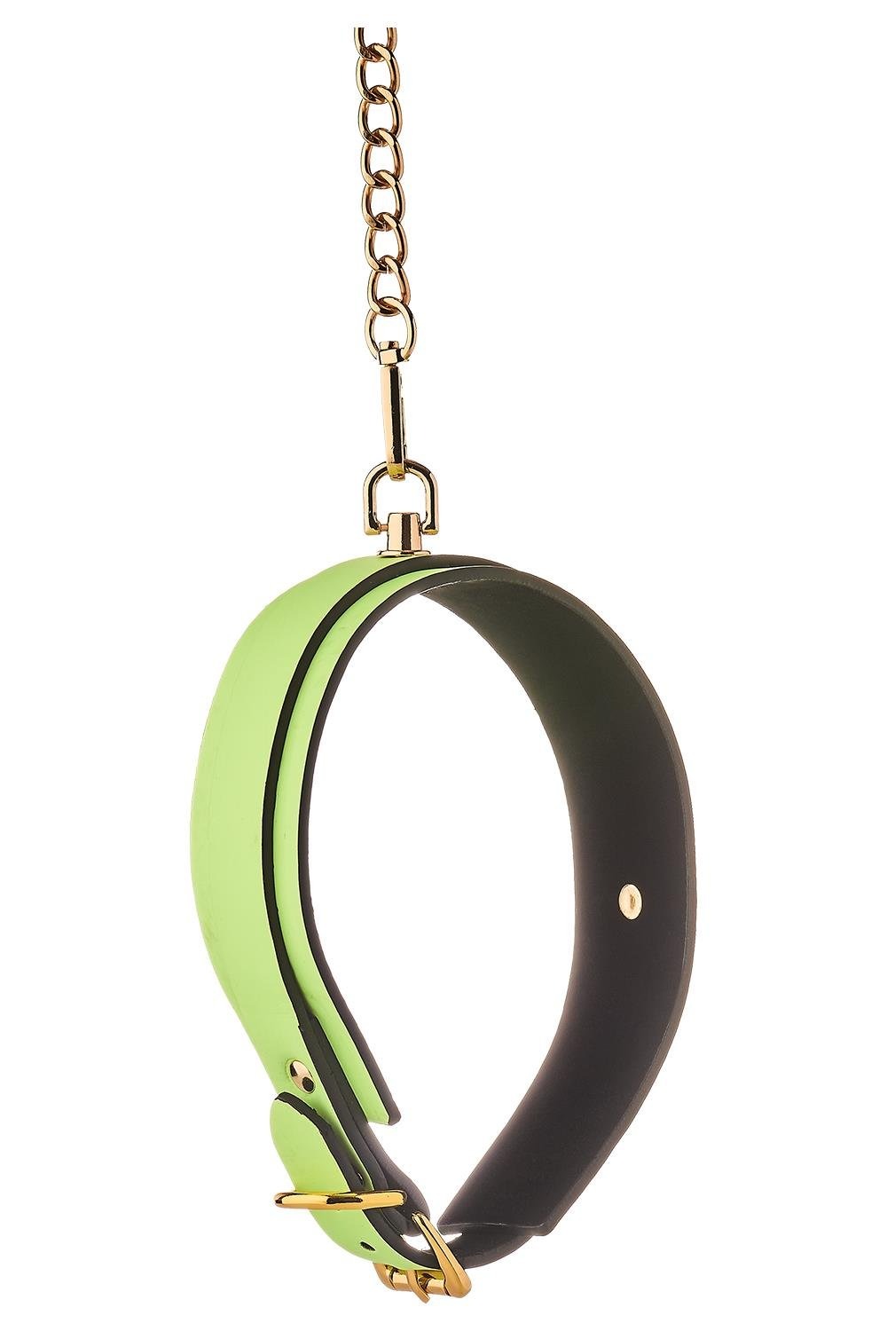 Нашийник з повідцем, що світиться у темряві Dream Toys Radiant Glow In The Dark Collar & Leash зелений