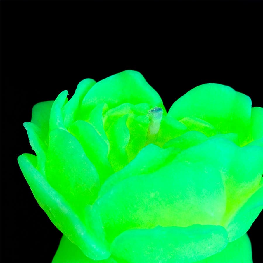 Cвiчка люмінісцентна низькотемпературна GlowKink салатова, M