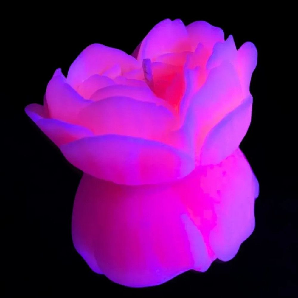 Свічка троянда люмінесцентна GlowKink 62 г, низькотемпературна, L, для БДСМ, персикова