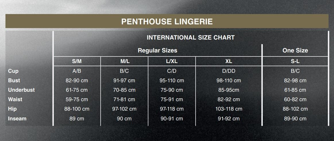 Боді Penthouse Salute Me XL Black (дефекти на пакованні!!!)