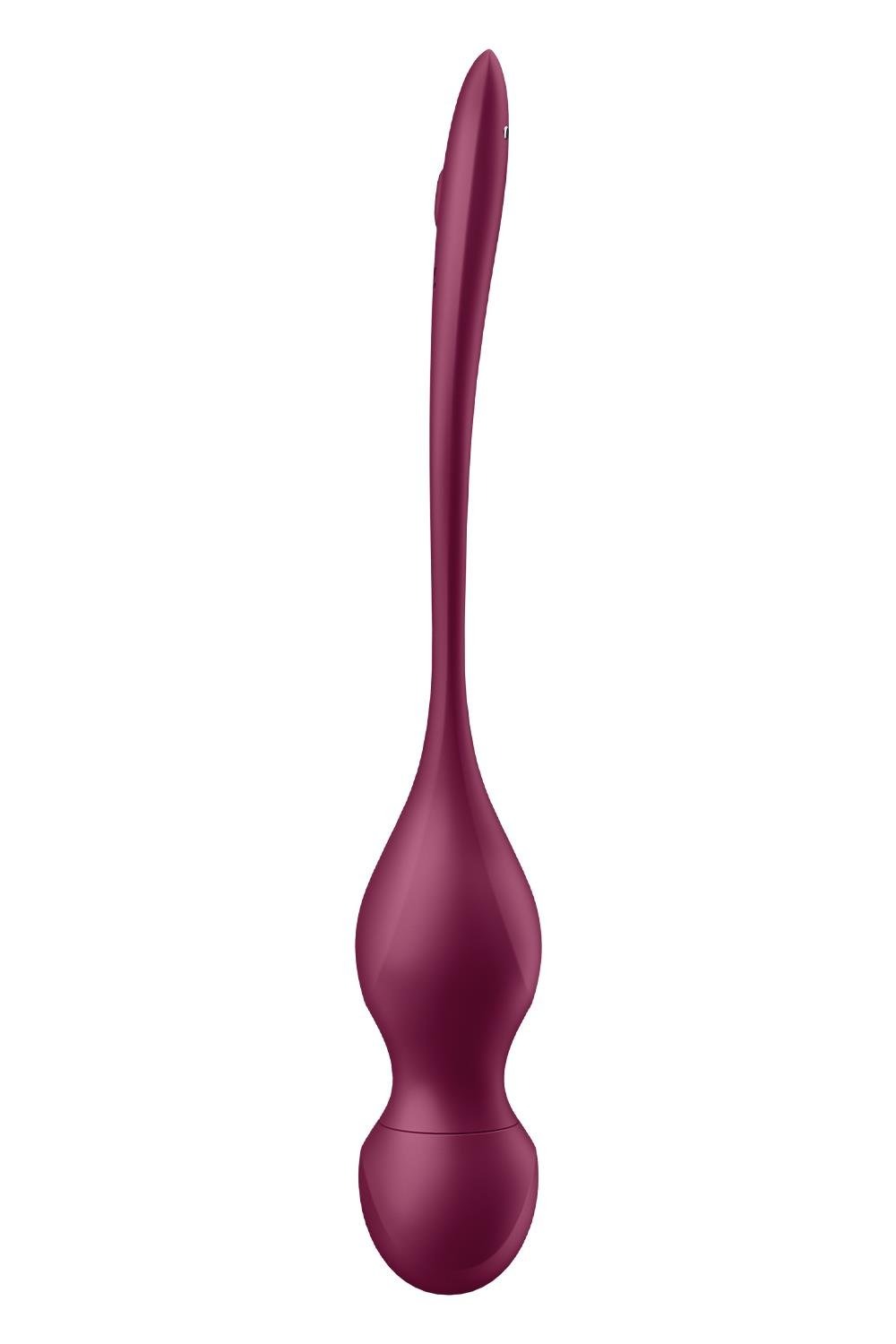 Шарики Кегеля с вибрацией Satisfyer Love Birds Vary и сменными грузами, бордовые