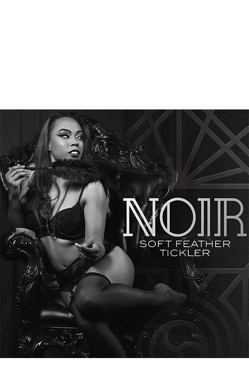 Перо-тиклер Noir Soft Feather Tickler, черного цвета