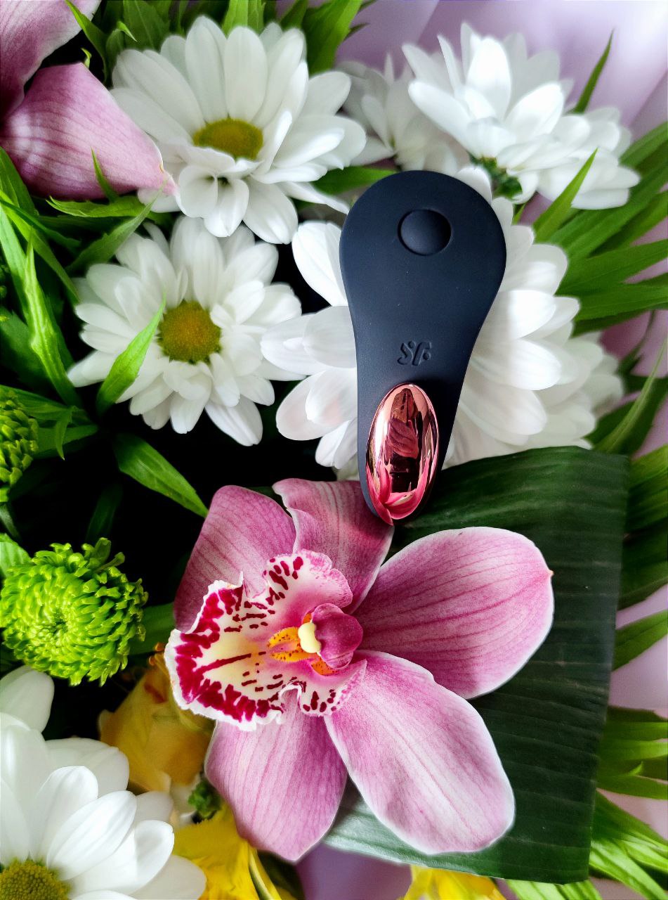 Вибратор в трусики с пультом и функцией управления со смартфона Satisfyer Little Secret черный