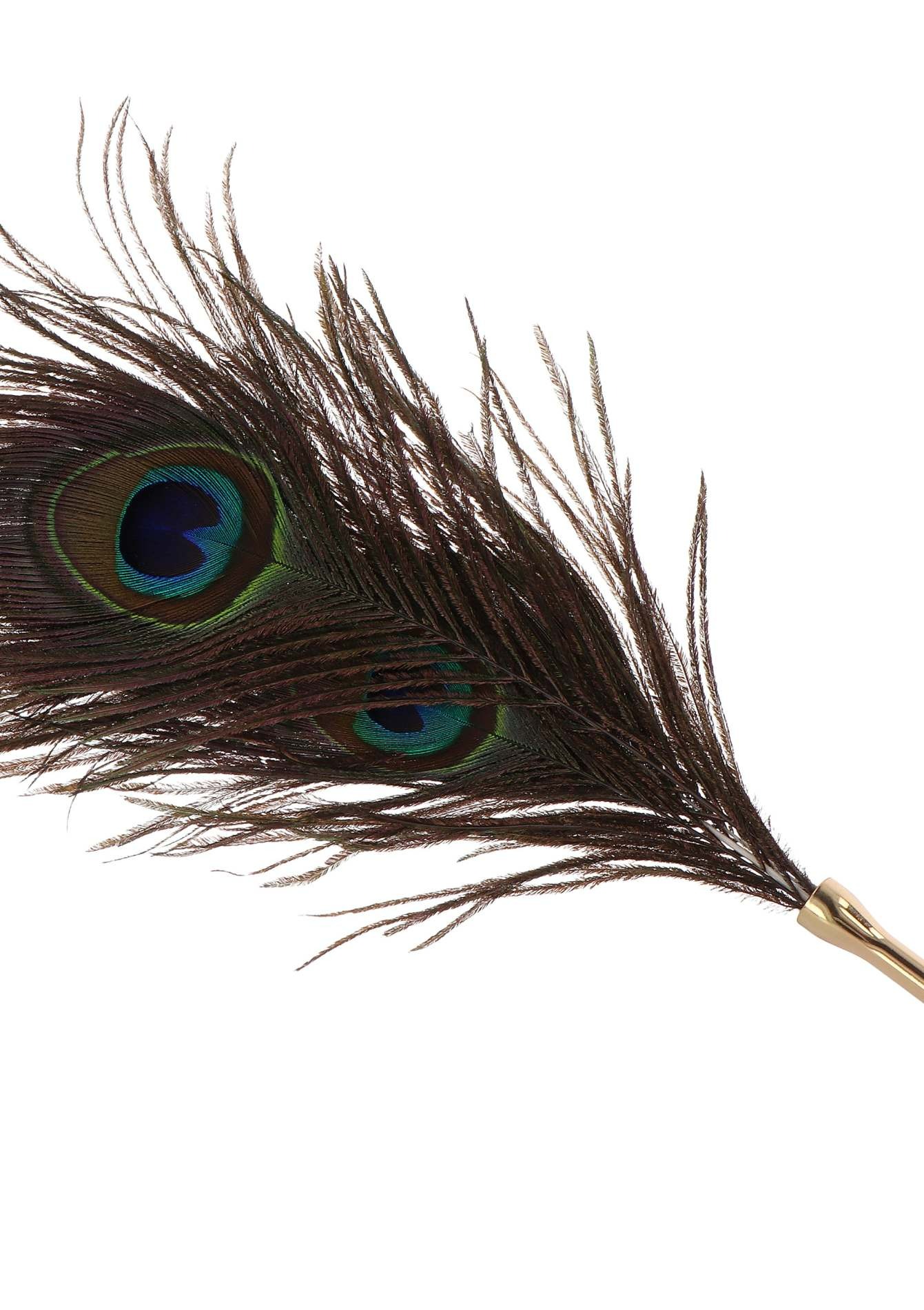 Перо Павлина Taboom DONA Peacock Tickler на длинной ручке