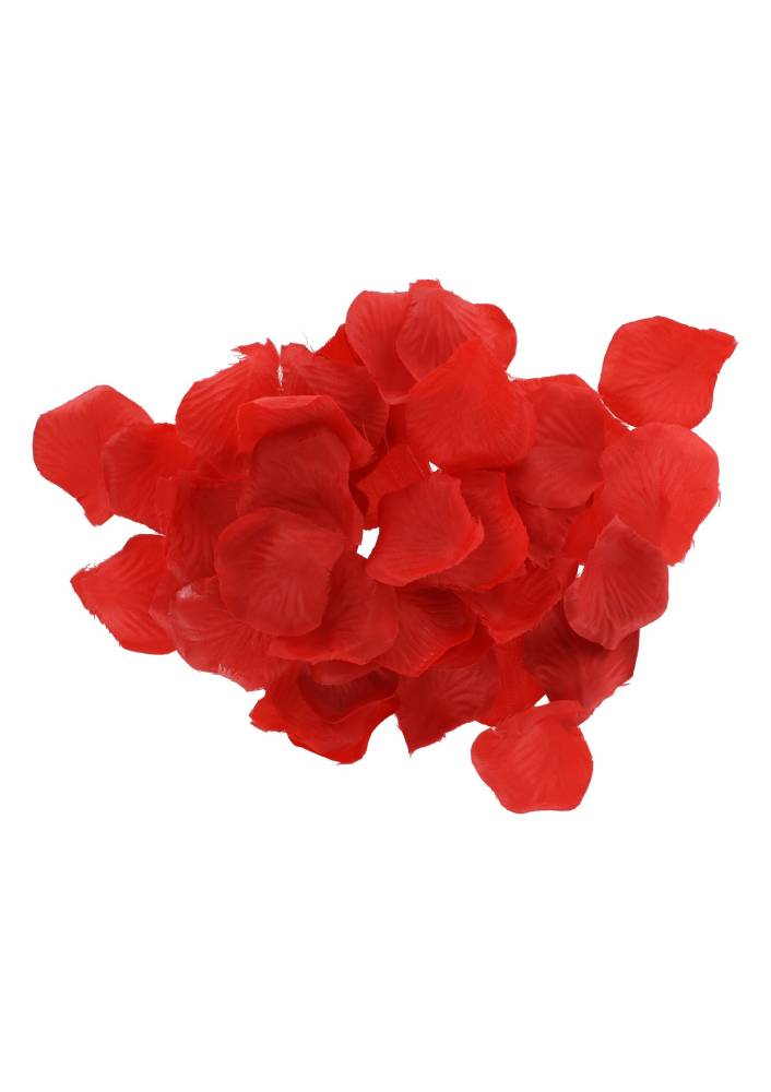 Набор секс-игрушек и БДСМ атрибутов TOY JOY 10 предметов, черный